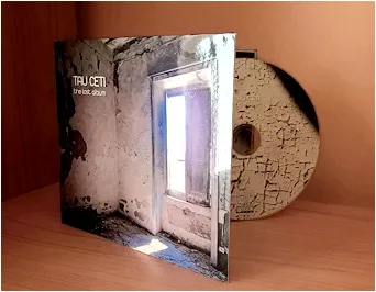 Copertina di The Lost Album