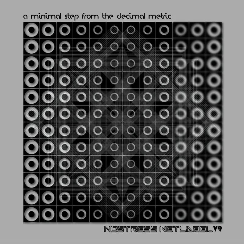Copertina di A Minimal Step from the Decimal Metric