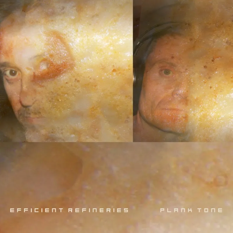 Copertina di Plank Tone