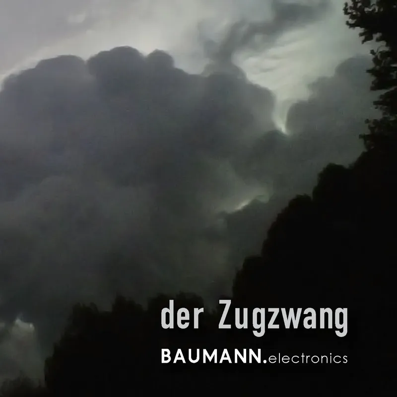 Copertina di der Zugzwang
