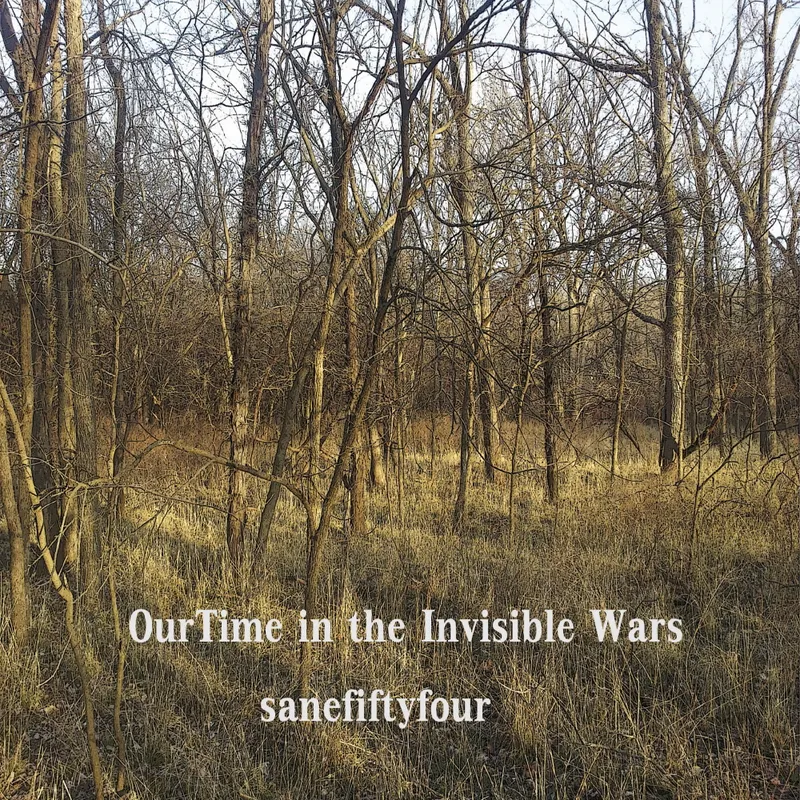 Copertina di Our Time in the Invisible Wars