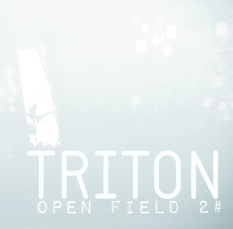 Copertina di open field 2#