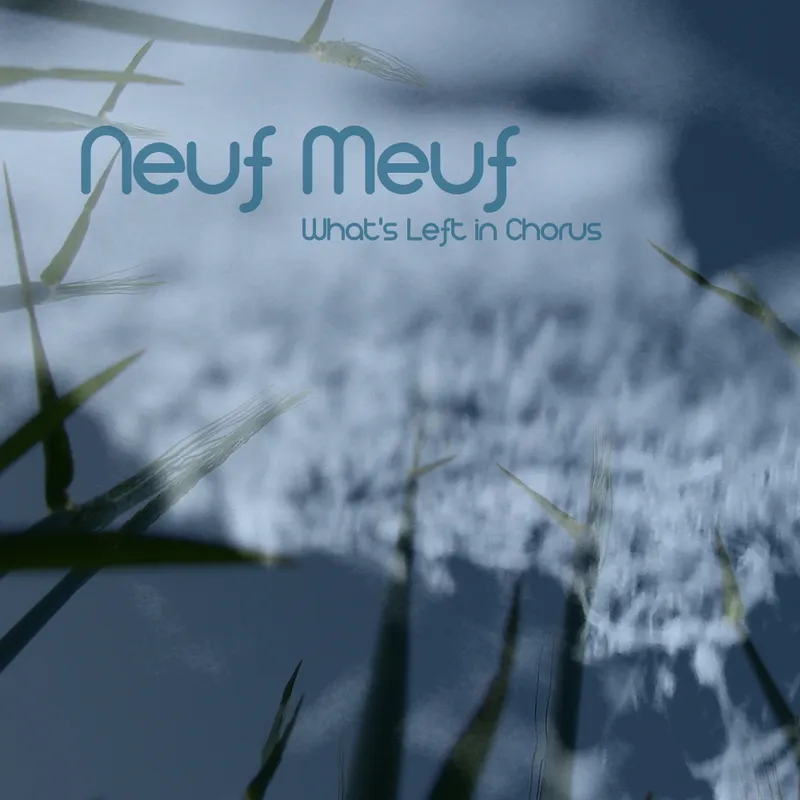 Copertina di What’s Left in Chorus